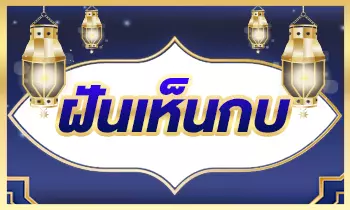 ฝันเห็นกบ